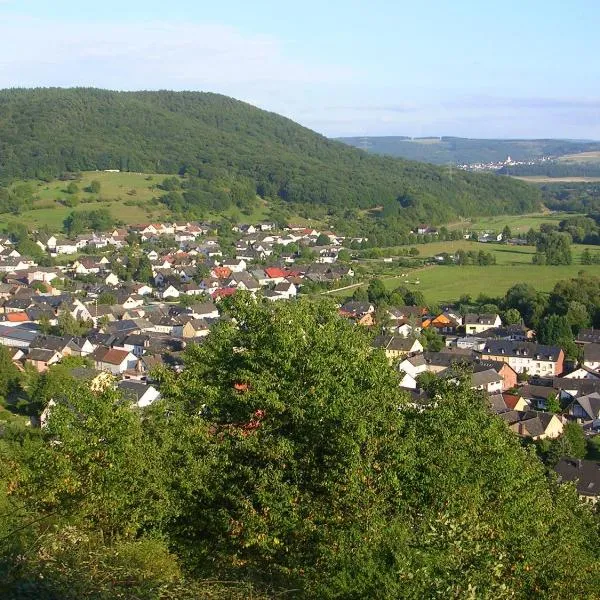 Ferienwohnung Bretz, Hotel in Dreis