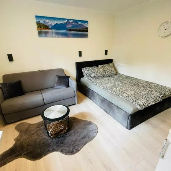 유오드크란테에 위치한 호텔 Saulės Aparatmentai