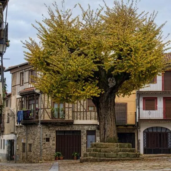 EL VIEJO OLMO, hotell i Herguijuela de la Sierra