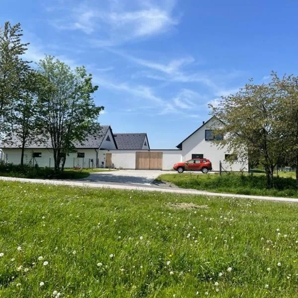 Apartmány Větrná 29, hotel v destinaci Malšín