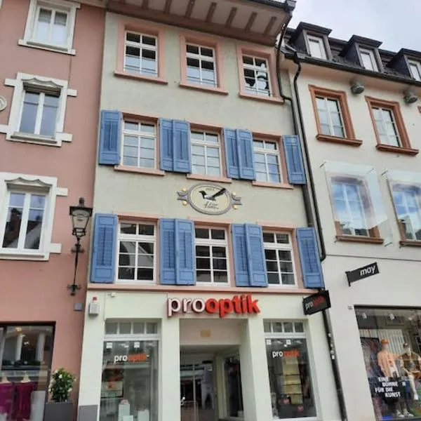 Waldshut -Kaiser55, hotell i Waldshut-Tiengen