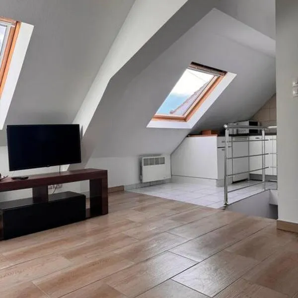 Appartement Douceur, hotel v destinaci Horbourg