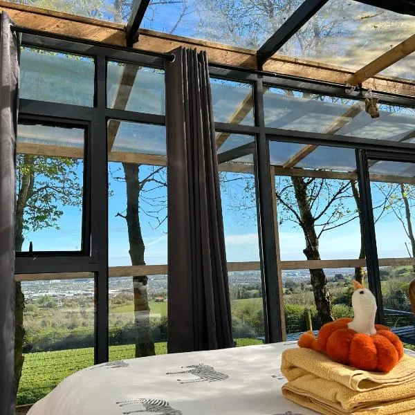 Sky gazer cabin in the woods, hotel v destinaci Dublin