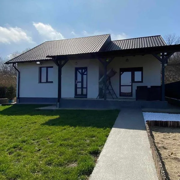 Casa Bellevue, hotel in Bacău