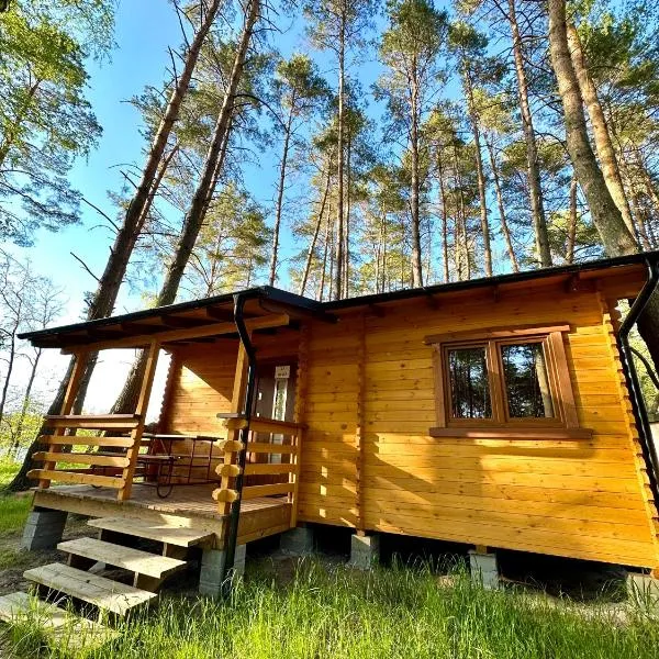 Ośrodek Wypoczynkowy Jeziornik，Białachowo的飯店