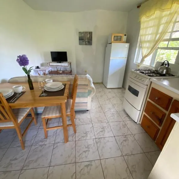 Coconut house Charlestown nevis、チャールズタウンのホテル