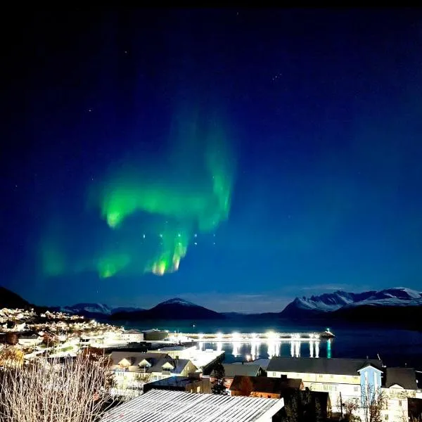 Aurora dream, hotel in Skjervøy