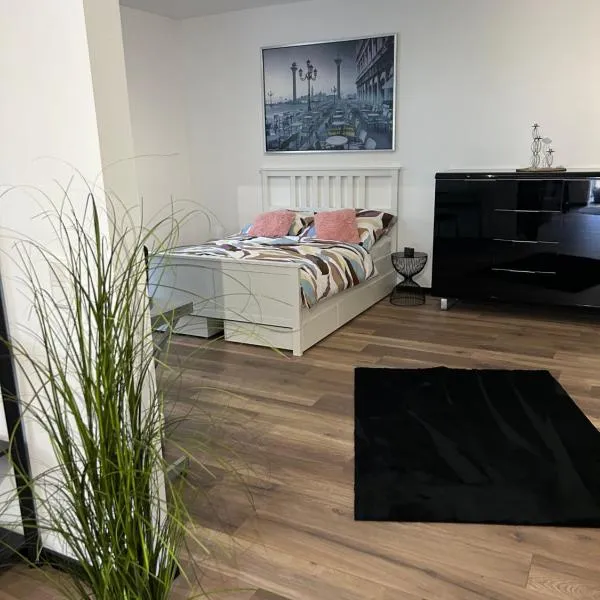 Ferienwohnung Ambiente 2, hotel in Naumburg
