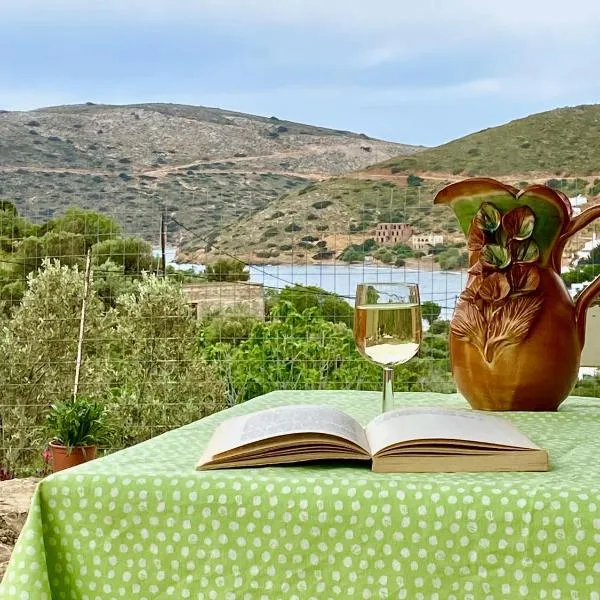 Captain's House, hotel in Kalymnos