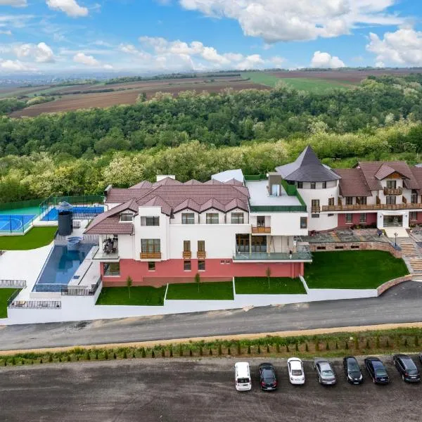 Dve Kule Resort & Winery, hotel v destinaci Bačinci