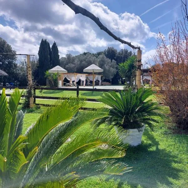 Podere Conte Gherardo, Hotel in Castagneto Carducci