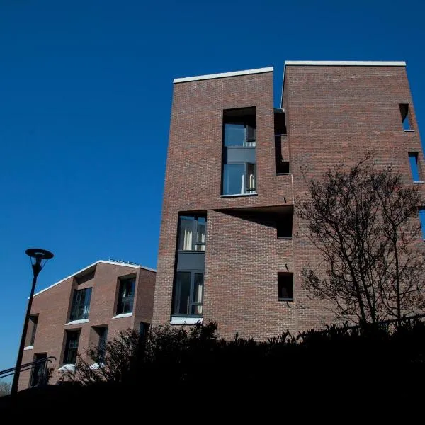 The Quigley Residence, hotel in Limerick