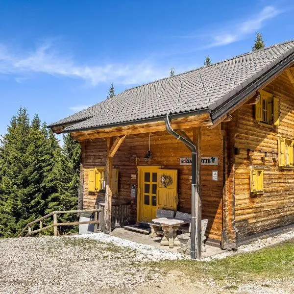 1A Chalet Enzianhuette - Wandern und Indoor Sauna, hotelli kohteessa Elsenbrunn