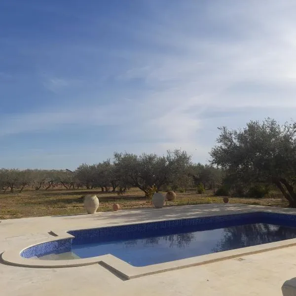 Villa Chaâbane, hotel v destinaci Djerba