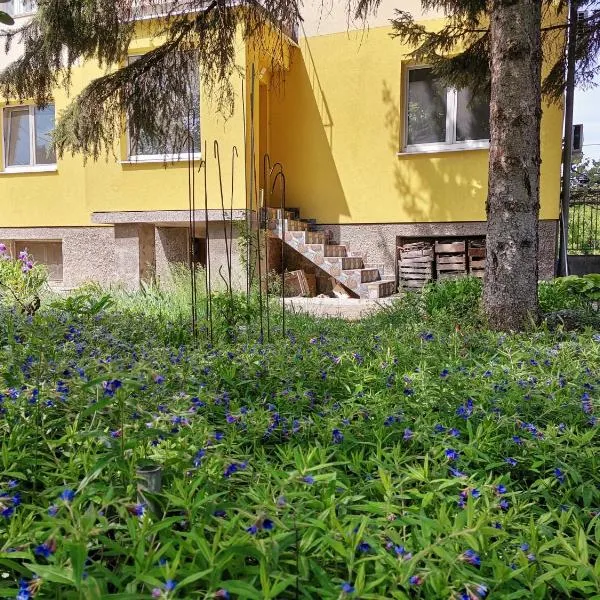 Стаи за гости "Дом Градина Вита" / Guest Rooms “House Vita Garden”, hotel in Negushevo