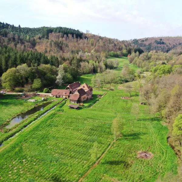 Maison d'hôtes de charme - Ancien moulin en pleine nature - La Paulusmühle, hotel v destinaci Soucht
