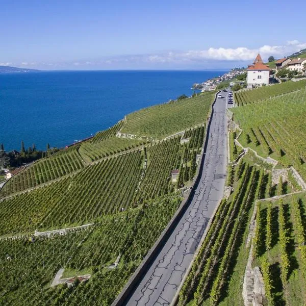 Domaine du Burignon, hotel v destinaci Saint-Saphorin