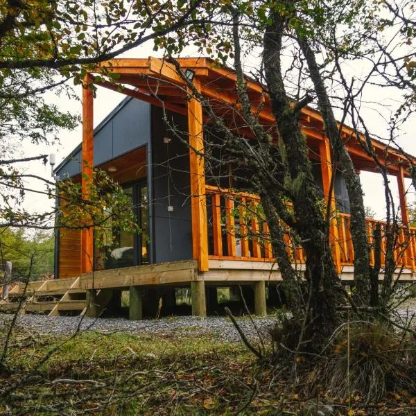 Tiny House Suite Los Mallines de Malalcahuello、マラルカウエリョのホテル