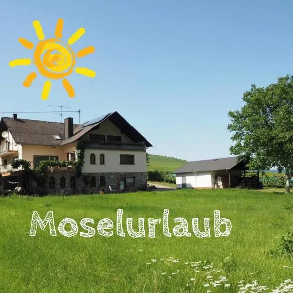 Landhaus Sonneninsel - Appartement, hotel en Minheim