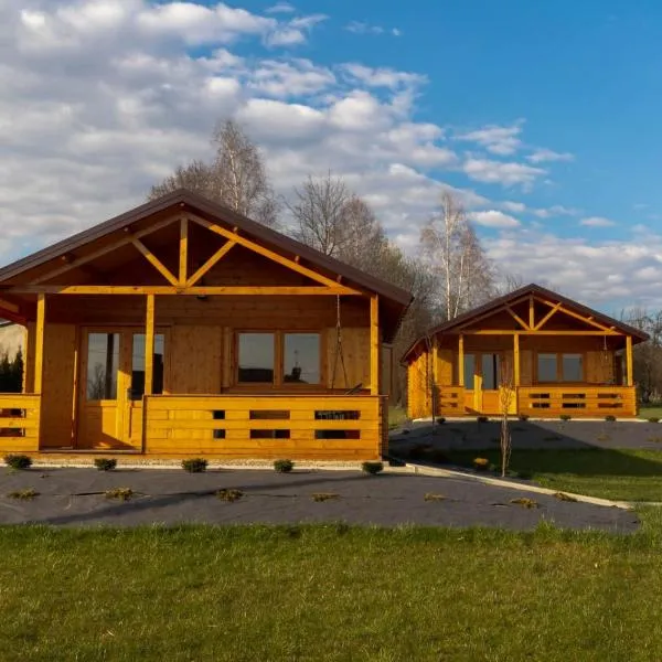 Noclegi Na Skraju Puszczy, hotel in Bieliny