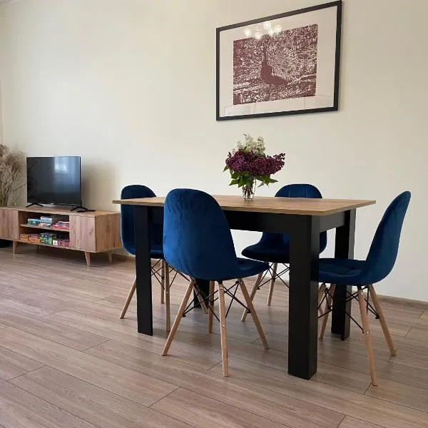 Apartamenty przy Starym Mieście, Hotel in Częstochowa