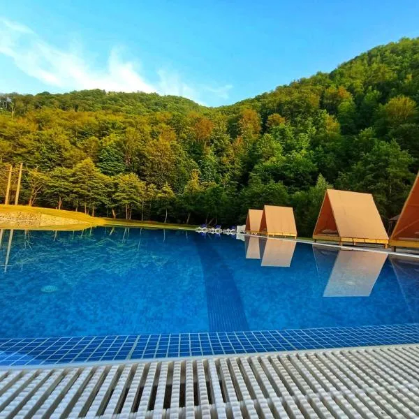 Pensiunea Poarta Raiului, hotel v destinaci Cugir
