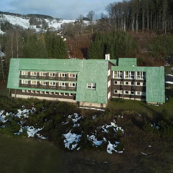 Hotel Albert - RETRO, hotel in Paseky nad Jizerou