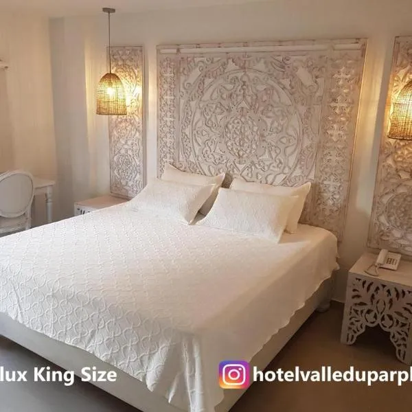 Hotel Valledupar Plaza, hotel in Valledupar