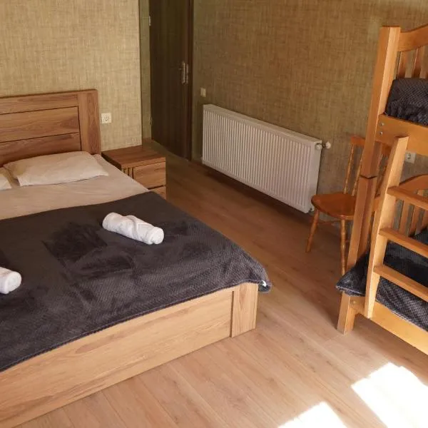 Archil and Nino Gigauri Guest House, hotel in Stepantsminda