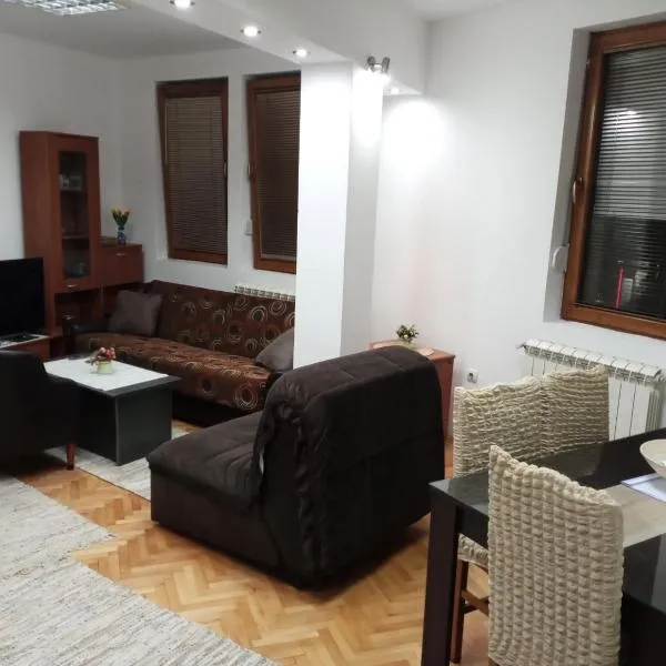 Apartman Mladenovic Center, free parking&wifi, hotel din Dobrosin