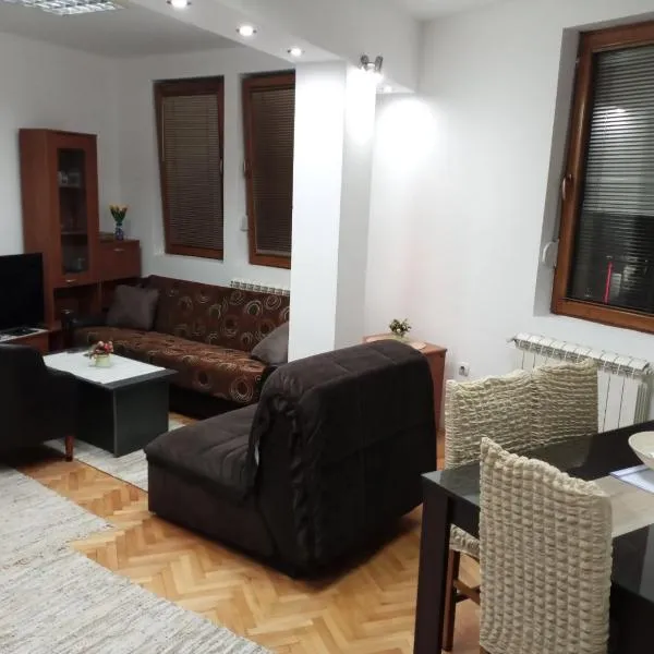 Apartman Mladenovic Center, free parking&wifi, hotel v destinaci Vranje