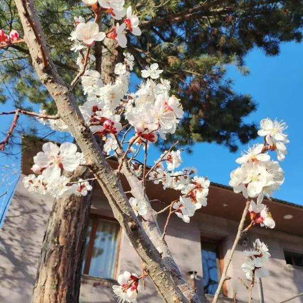 Mashtots B&B, hotel v destinaci Vanadzor