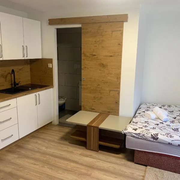 Apartment Gajsek, hotel v destinaci Zavrč