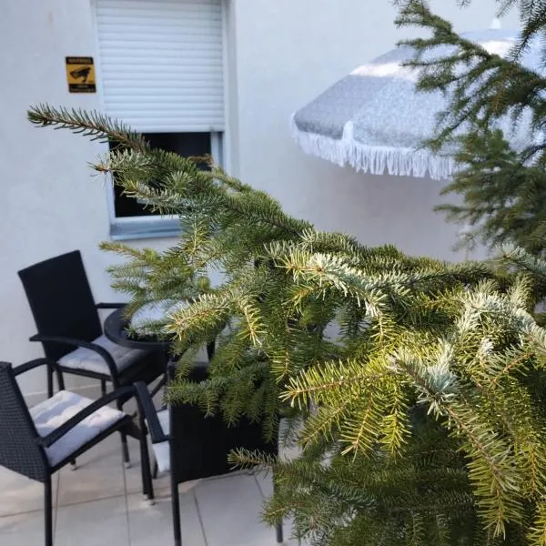 Apartman Šumski San, hotel v destinaci Divčibare