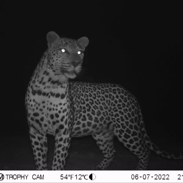 Oorlogs Kloof Mountain Retreat Montagu, hotel v destinaci Montagu