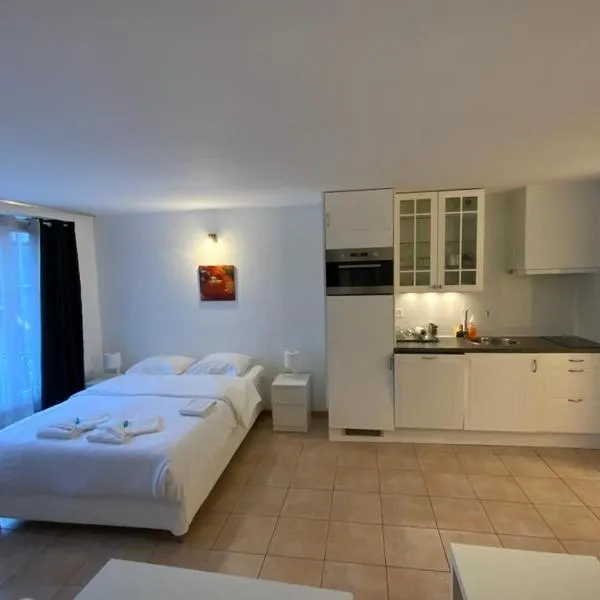 JOY06 Mango Spirit Suites, hotel v destinaci Neuchâtel