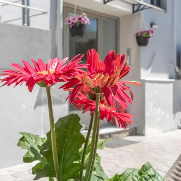 Nikisapartments kalamata, מלון בFaraí