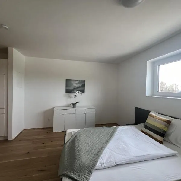 Studio Apartments St. Martin, hotel v destinaci Erdmannsdorf