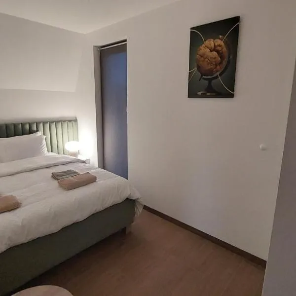 BOROVI 3 - Tartufo Bianco, hotel v destinaci Divčibare