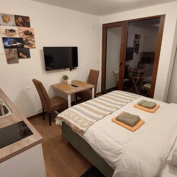 BOROVI 3 - Tartufo Nero, hotel na Divčibaru