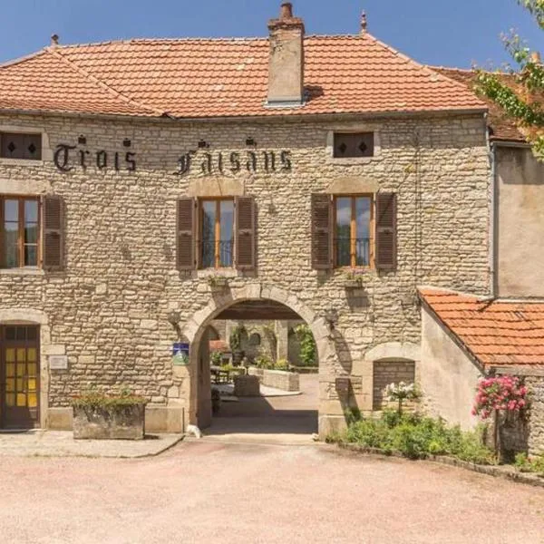 Les Trois Faisans, hotel v destinácii Bligny-sur-Ouche