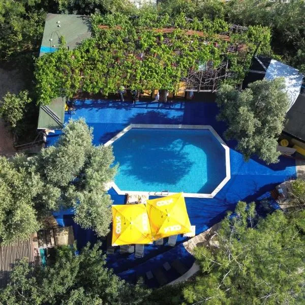 Shiva Camp, hotel v destinaci Faralya