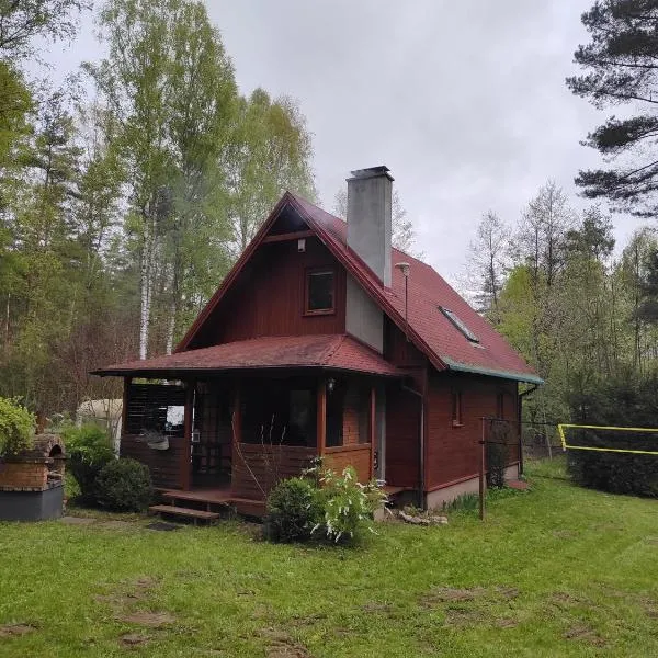 Klimatyczny domek w lesie przy jeziorze, hotel in Gietrzwałd