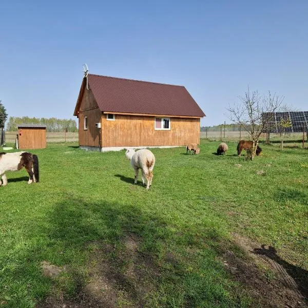 Eurostruś - zoo, domki, hotel di Borzychy