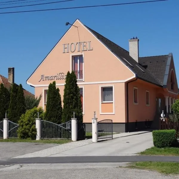 Hotel Amarillis, hotel in Sokorópátka