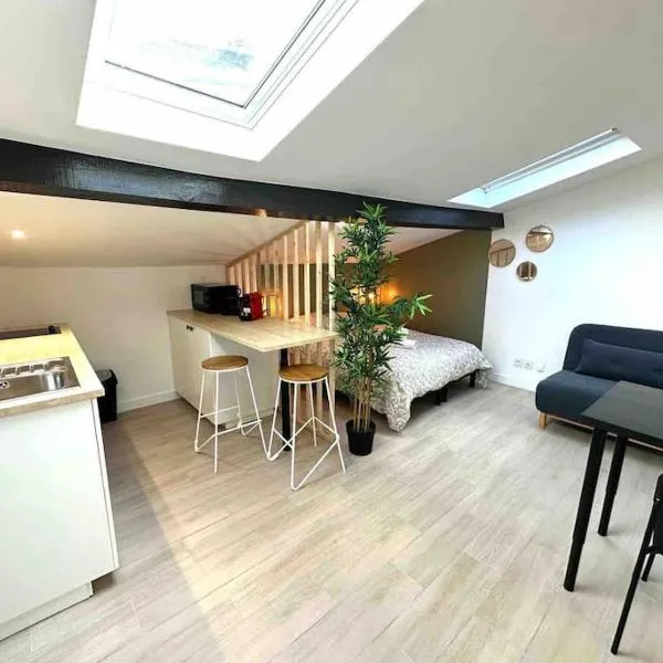 "Le Bamboo"Studio Charpennes Climatisé Prox Gare Métro Tram, hotel en Villeurbanne