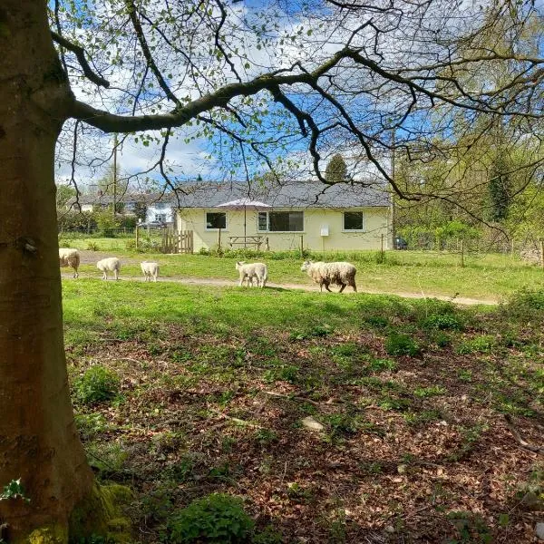 The Bungalow, Forest of Dean, hótel í Coleford