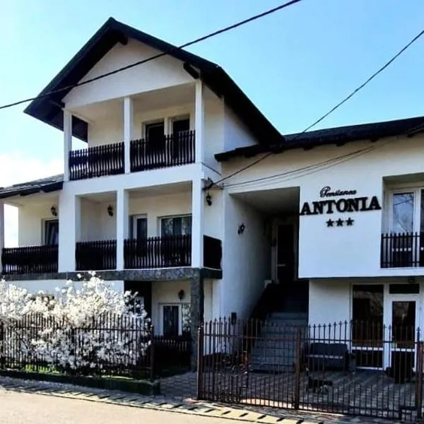 Pensiunea Antonia, hotel in Ortoaia