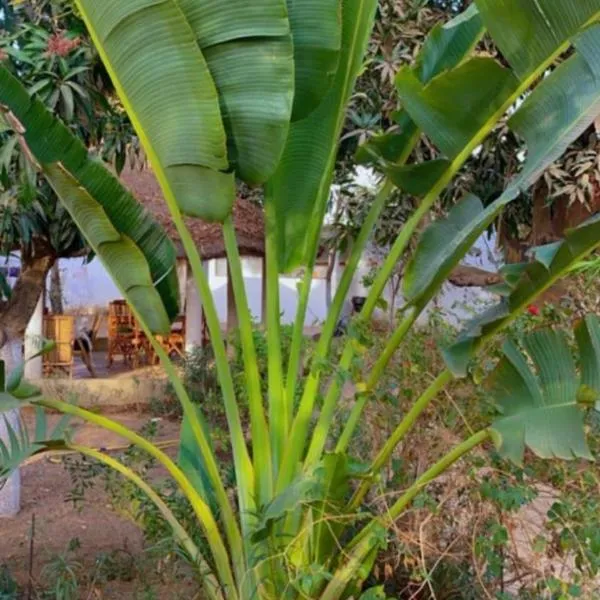 Le jardin de Adja, hotel in Ngaparou