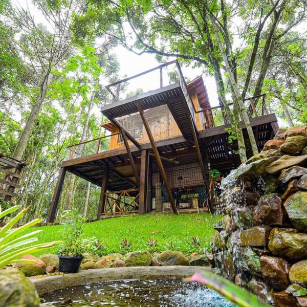 Casa na Árvore em Gramado